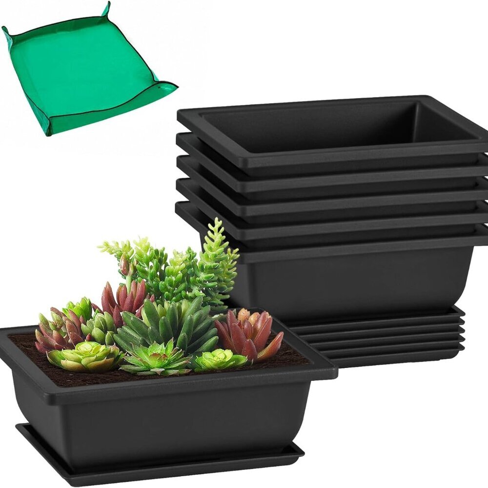 6 Packs 6.5 Inch Bonsai Training Pots with Drainage Humidity Trays, Bonsai Tree